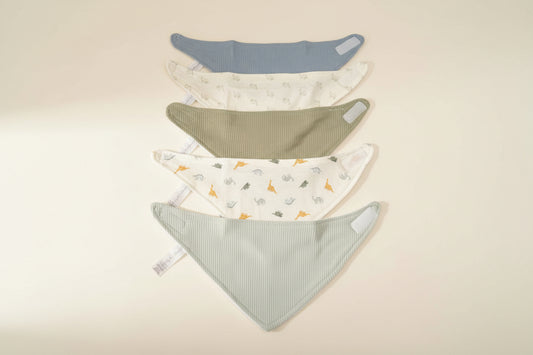 Set of five baby bibs with different dinosaur patterns on a warm white background.